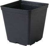 Kontejner pevná kvalita 11x11x12 cm - 10 ks