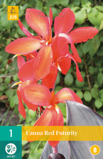 Karta - Kana RED FUTURITY (1 hlíza) "B"