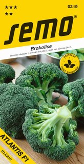 Brokolice - Atlantis F1 40s