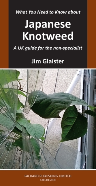 What You Need to Know about Japanese Knotweed