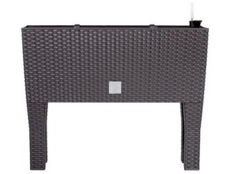 truhlík RATO CASE HIGH 60x25x46cm HN tm. (440U)