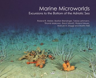 Marine Microworlds
