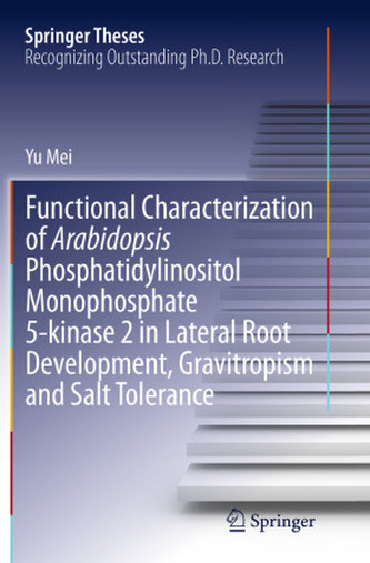 Functional Characterization of Arabidopsis Phosphatidylinositol Monophosphate 5-kinase 2 in Lateral Root Development, Gravitropi