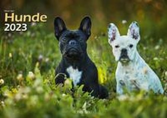 Hunde 2023 Bildkalender A3 quer - Oliver Giel
