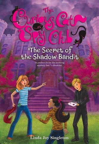 The Secret of the Shadow Bandit, 4