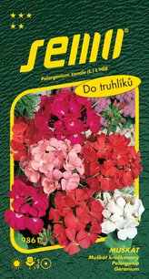 Pelargonie páskatá - směs 11s