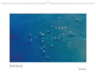 Blue 2023