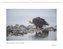 Best of Nature 2023