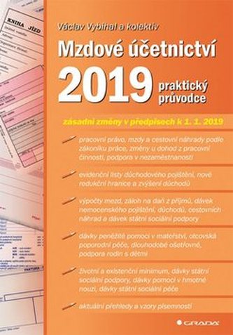 Mzdové účetnictví 2019 - praktický průvodce