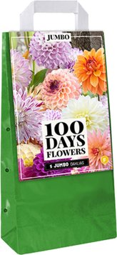 Taška - JIŘINA JUMBO MIX (5 hlíz)"F"