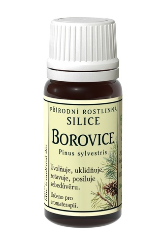 Borovice silice