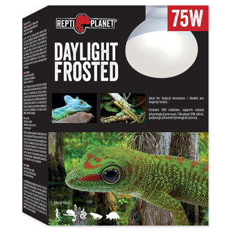 Žárovka REPTI PLANET Daylight Frosted