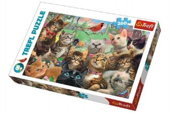 Puzzle Kočky 260 dílků 60x40cm v krabici 40x27x4cm