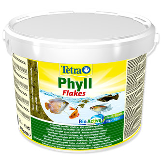 TETRA Phyll