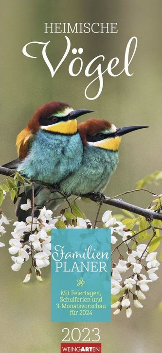 Heimische Vögel Familienplaner 2023