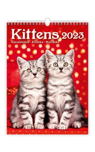 Kalendář nástěnný 2023 - Koťátka