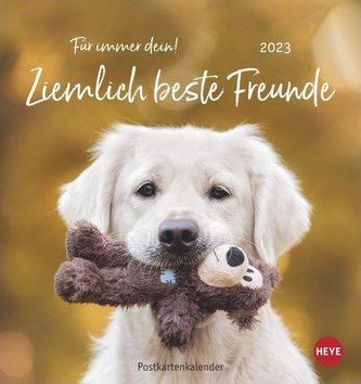 Ziemlich beste Freunde Postkartenkalender 2023
