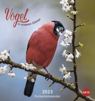 Vögel in unseren Gärten Postkartenkalender 2023