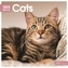 Cats 365 Days Square Wall Calendar 2021