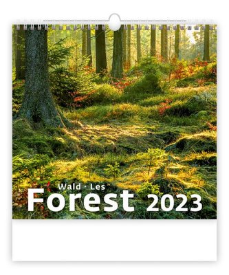 Kalendář nástěnný 2023 - Les