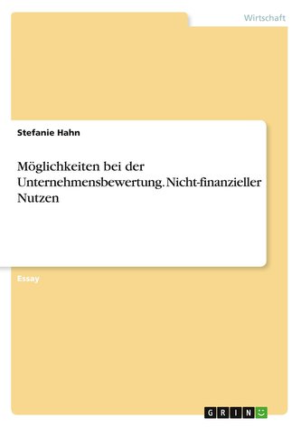 Möglichkeiten bei der Unternehmensbewertung. Nicht-finanzieller Nutzen