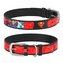 Waudog obojek kožený DC Superman (20-28cm/1,2cm)