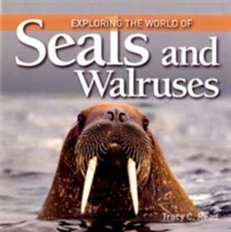 Exploring the World of Seals and Walruses