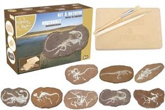 Duży Szkielet Dinozaura Wykopalisko na Kamieniu Bones&More;