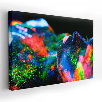 Obraz na plátně COLORS 120x80 cm Mybesthome