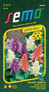 Šalvěj zářivá - směs 30s - série PALETA