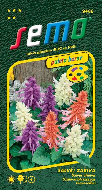 Šalvěj zářivá - směs 30s - série PALETA