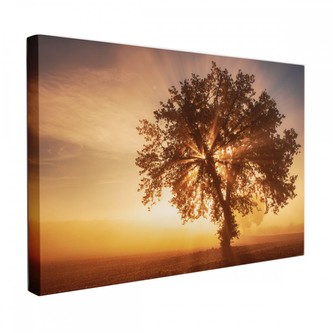 Obraz na plátně TREE 120x80 cm Mybesthome