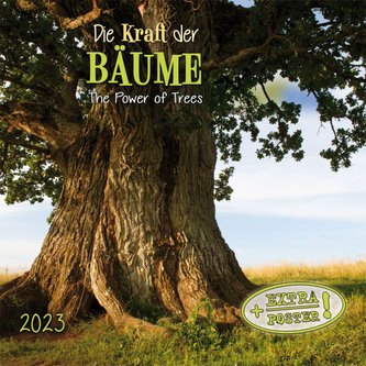 Die Kraft der Bäume 2023