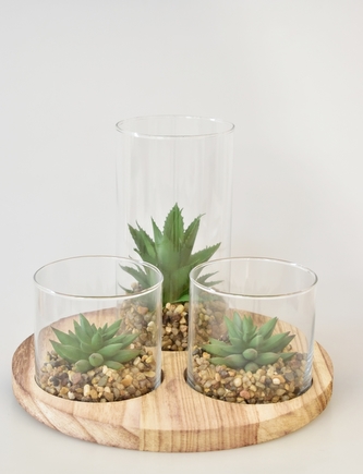 Sukulenty ve skleněných válcích na dřevěné podložce A