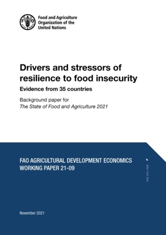 Drivers and stressors of resilience to food insecurity