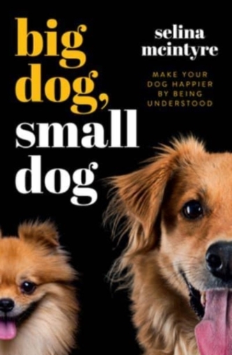 Big Dog Small Dog