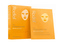 Rodial Vit C Cellulose Sheet Mask x 4