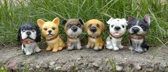 Pes polyston s obojkem