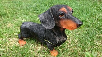 Jezevčík polyston tmavý střední