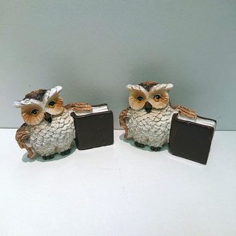 Sova s knihou poly malá