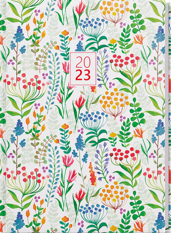 Denní diář David Lamino A5 Barevný