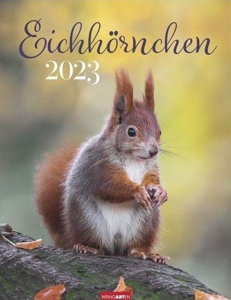 Eichhörnchen Kalender 2023