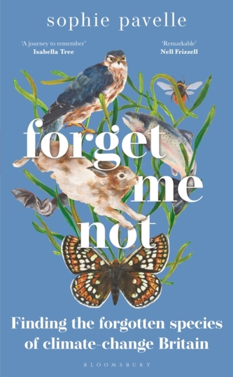 Forget Me Not