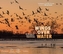 Wings Over Water