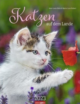 Katzen auf dem Lande Kalender 2023