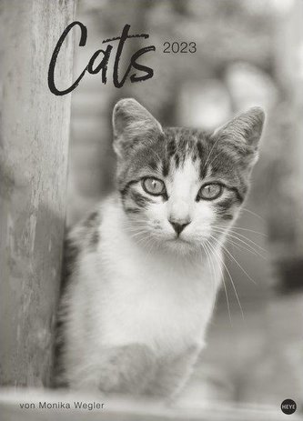 Cats Edition Kalender 2023