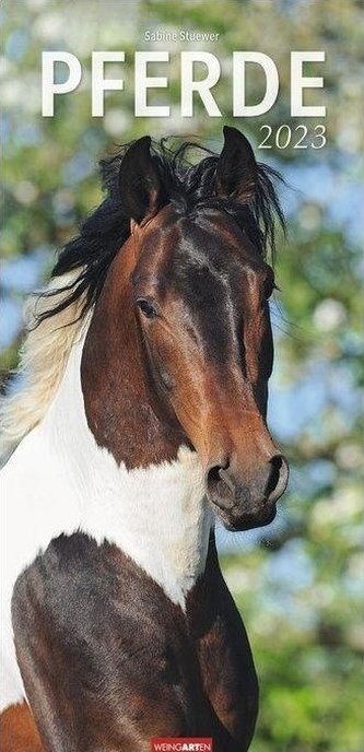 Pferde Kalender 2023