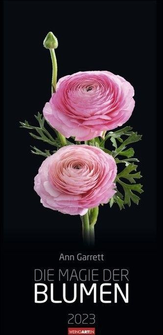 Die Magie der Blumen Kalender 2023