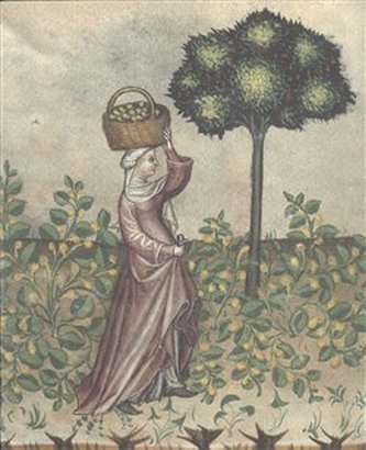 Zahrada slov. Ad honorem Zuzana Silagiová