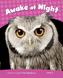 PEKR | Level 2: Awake at Night Rdr CLIL AmE